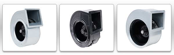 1655547242280853.jpg 6d3c9513-0a8d-464e-a1d6-e662a9631d02.jpg