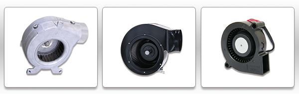 1655606135177097.jpg 7e59fa31-a614-439c-a5a0-0ce7c6619804.jpg